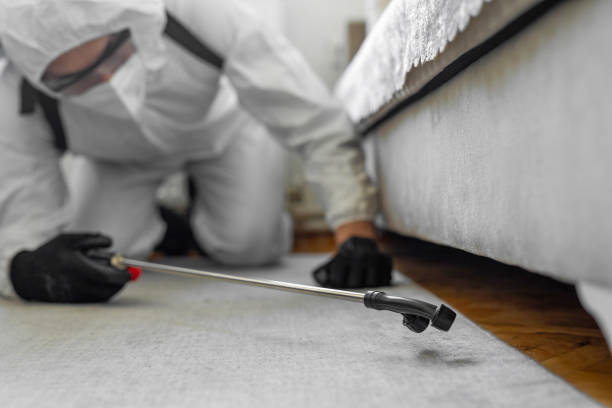 Professional Bed Bug Control technician working in North Liberty, IA