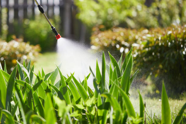 24/7 Emergency Bed Bug Control experts in North Liberty, IA