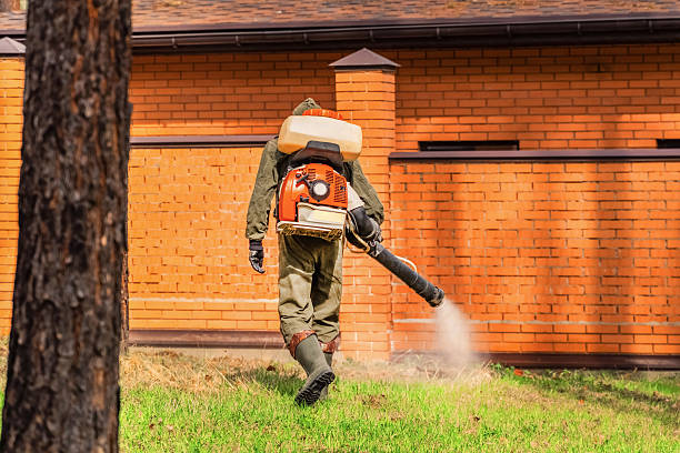 Trusted Bed Bug Control service in North Liberty, IA - Nex Pest Control